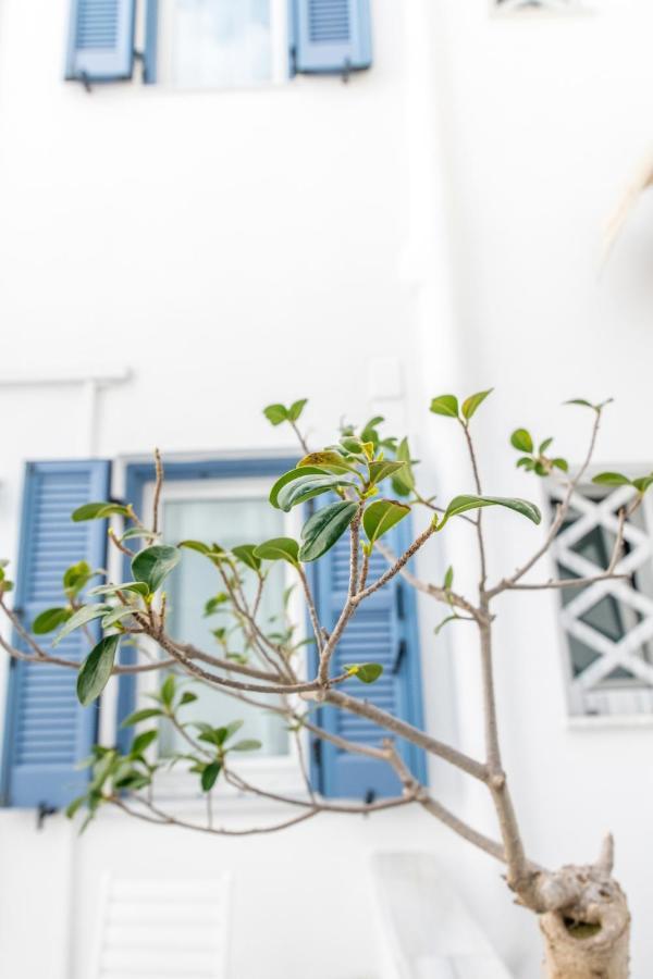 Argiro Hotel Tinos Bagian luar foto