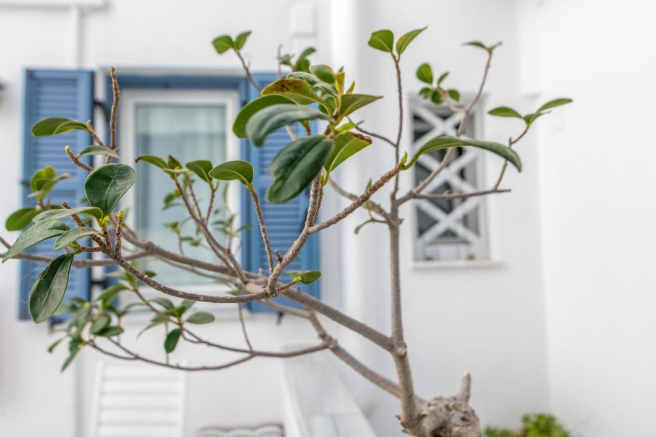 Argiro Hotel Tinos Bagian luar foto